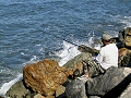 Gone Fishing on San Francisco Bay